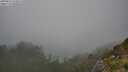 ./images/calvert/foggy-cove/20250810/foggy-cove20250810_153012M.jpg