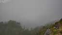 ./images/calvert/foggy-cove/20250810/foggy-cove20250810_153510M.jpg