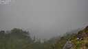 ./images/calvert/foggy-cove/20250810/foggy-cove20250810_154010M.jpg