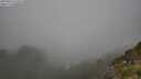 ./images/calvert/foggy-cove/20250810/foggy-cove20250810_154510M.jpg