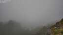 ./images/calvert/foggy-cove/20250810/foggy-cove20250810_155008M.jpg