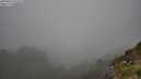 ./images/calvert/foggy-cove/20250810/foggy-cove20250810_155509M.jpg