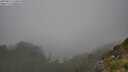 ./images/calvert/foggy-cove/20250810/foggy-cove20250810_160010M.jpg