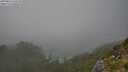 ./images/calvert/foggy-cove/20250810/foggy-cove20250810_160510M.jpg