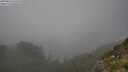 ./images/calvert/foggy-cove/20250810/foggy-cove20250810_161010M.jpg