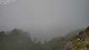./images/calvert/foggy-cove/20250810/foggy-cove20250810_162011M.jpg