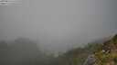 ./images/calvert/foggy-cove/20250810/foggy-cove20250810_162510M.jpg