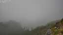 ./images/calvert/foggy-cove/20250810/foggy-cove20250810_163011M.jpg