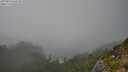 ./images/calvert/foggy-cove/20250810/foggy-cove20250810_163510M.jpg