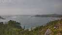 ./images/calvert/foggy-cove/20250810/foggy-cove20250810_164509M.jpg