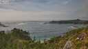 ./images/calvert/foggy-cove/20250810/foggy-cove20250810_165009M.jpg