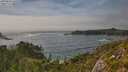 ./images/calvert/foggy-cove/20250810/foggy-cove20250810_165510M.jpg