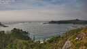 ./images/calvert/foggy-cove/20250810/foggy-cove20250810_170511M.jpg