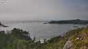./images/calvert/foggy-cove/20250810/foggy-cove20250810_171511M.jpg