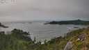 ./images/calvert/foggy-cove/20250810/foggy-cove20250810_173510M.jpg