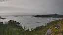 ./images/calvert/foggy-cove/20250810/foggy-cove20250810_181009M.jpg