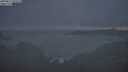 ./images/calvert/foggy-cove/20250811/foggy-cove20250811_053506M.jpg