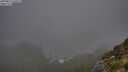 ./images/calvert/foggy-cove/20250811/foggy-cove20250811_060511M.jpg