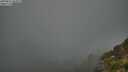 ./images/calvert/foggy-cove/20250811/foggy-cove20250811_063011M.jpg