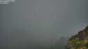 ./images/calvert/foggy-cove/20250811/foggy-cove20250811_063511M.jpg