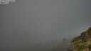 ./images/calvert/foggy-cove/20250811/foggy-cove20250811_064509M.jpg