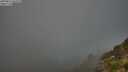 ./images/calvert/foggy-cove/20250811/foggy-cove20250811_065011M.jpg