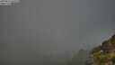 ./images/calvert/foggy-cove/20250811/foggy-cove20250811_065510M.jpg
