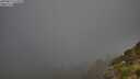 ./images/calvert/foggy-cove/20250811/foggy-cove20250811_071010M.jpg