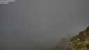./images/calvert/foggy-cove/20250811/foggy-cove20250811_071509M.jpg