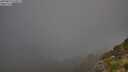 ./images/calvert/foggy-cove/20250811/foggy-cove20250811_072011M.jpg