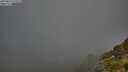 ./images/calvert/foggy-cove/20250811/foggy-cove20250811_072510M.jpg