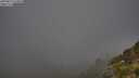 ./images/calvert/foggy-cove/20250811/foggy-cove20250811_073010M.jpg