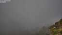 ./images/calvert/foggy-cove/20250811/foggy-cove20250811_073509M.jpg