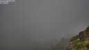 ./images/calvert/foggy-cove/20250811/foggy-cove20250811_074008M.jpg