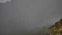 ./images/calvert/foggy-cove/20250811/foggy-cove20250811_074509M.jpg