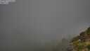 ./images/calvert/foggy-cove/20250811/foggy-cove20250811_075011M.jpg