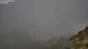 ./images/calvert/foggy-cove/20250811/foggy-cove20250811_075510M.jpg