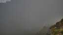 ./images/calvert/foggy-cove/20250811/foggy-cove20250811_080508M.jpg