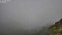 ./images/calvert/foggy-cove/20250811/foggy-cove20250811_081511M.jpg