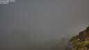 ./images/calvert/foggy-cove/20250811/foggy-cove20250811_082509M.jpg