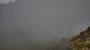 ./images/calvert/foggy-cove/20250811/foggy-cove20250811_083010M.jpg