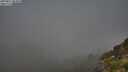 ./images/calvert/foggy-cove/20250811/foggy-cove20250811_084010M.jpg