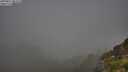 ./images/calvert/foggy-cove/20250811/foggy-cove20250811_084510M.jpg
