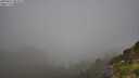 ./images/calvert/foggy-cove/20250811/foggy-cove20250811_085008M.jpg