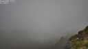 ./images/calvert/foggy-cove/20250811/foggy-cove20250811_085510M.jpg