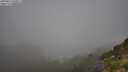 ./images/calvert/foggy-cove/20250811/foggy-cove20250811_090012M.jpg