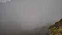 ./images/calvert/foggy-cove/20250811/foggy-cove20250811_090507M.jpg
