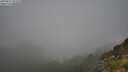 ./images/calvert/foggy-cove/20250811/foggy-cove20250811_091011M.jpg