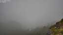 ./images/calvert/foggy-cove/20250811/foggy-cove20250811_091510M.jpg
