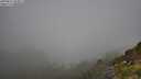 ./images/calvert/foggy-cove/20250811/foggy-cove20250811_092011M.jpg